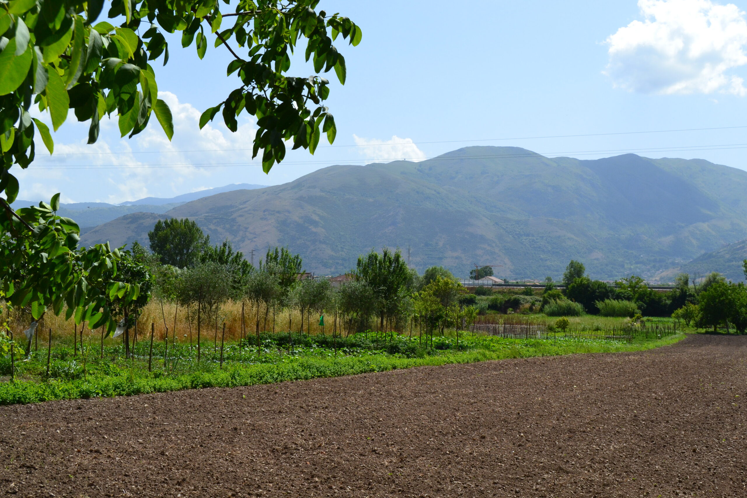 Gli Orti di Sala | Antichi semi e biodiversità di Sala Consilina