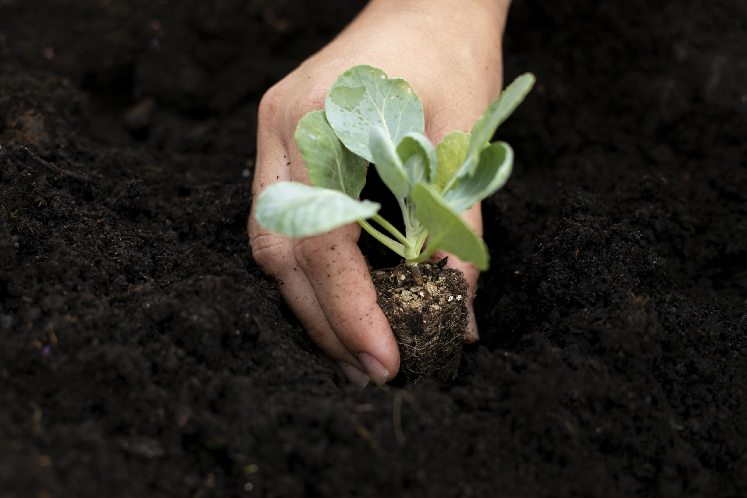 Gli Orti di Sala | Antichi semi e biodiversità di Sala Consilina
