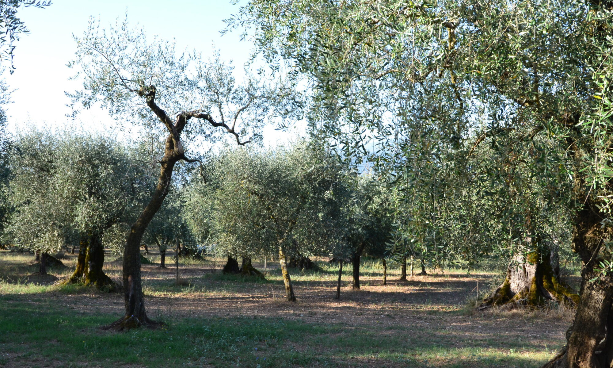 dsc 0046